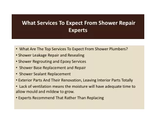 What Services To Expect From Shower Repair Experts