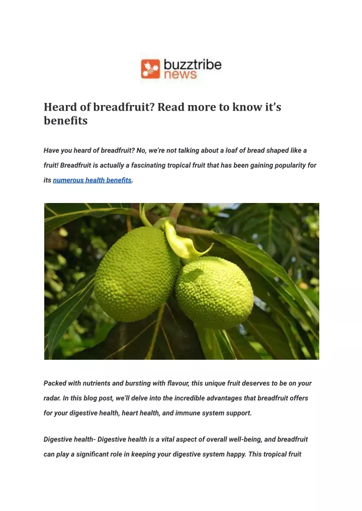 heard of breadfruit read more to know