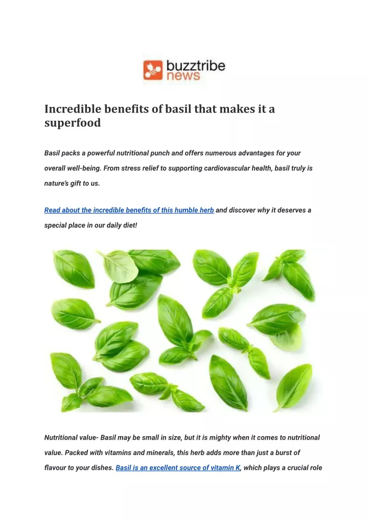 incredible benefits of basil that makes