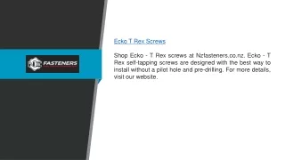 Ecko T Rex Screws | Nzfasteners.co.nz