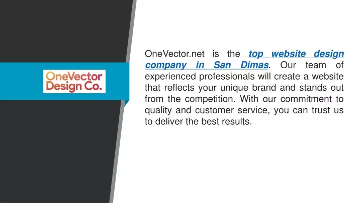 onevector net is the top website design company