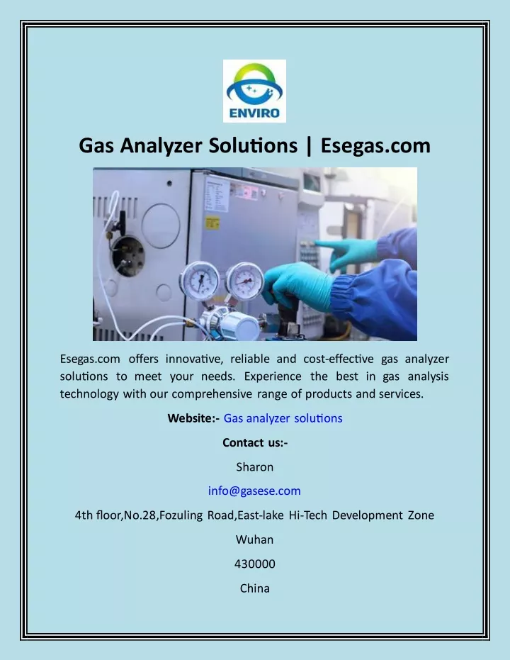 gas analyzer solutions esegas com
