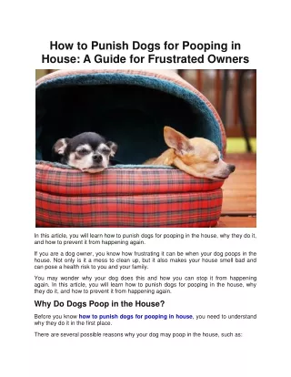 How to Punish Dogs for Pooping in House A Guide for Frustrated Owners