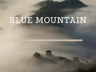 blue mountain