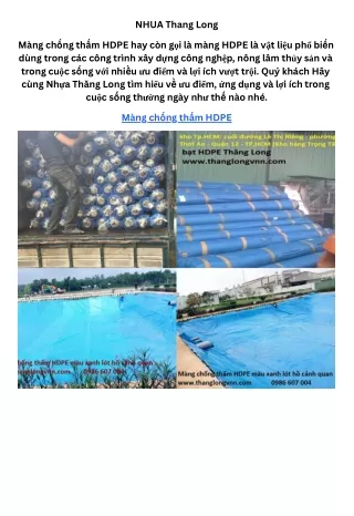 nhua thang long
