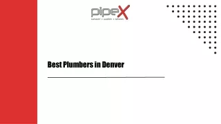Hire The Best Plumbers In Denver For Necessary Sewer Repairs Or Maintenance