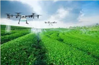 THE FUTURE OF AGRICULTURE