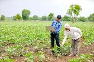 The Future Of Indian Agriculture
