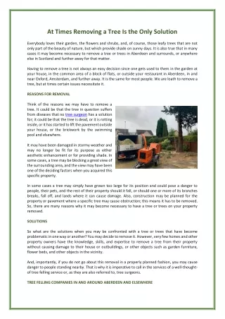 at times removing a tree is the only solution