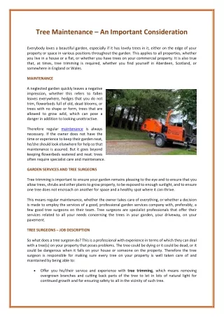 tree maintenance an important consideration