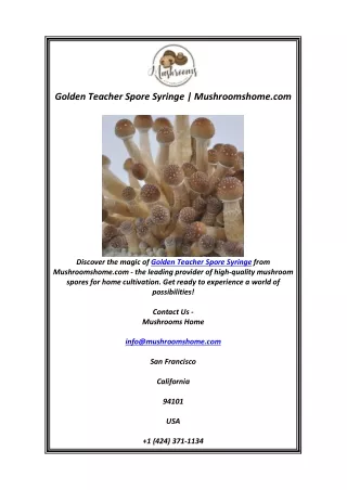 Golden Teacher Spore Syringe | Mushroomshome.com