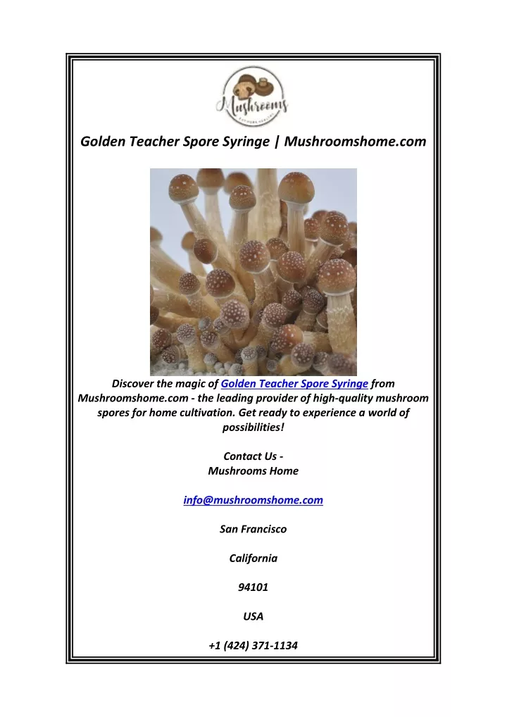 golden teacher spore syringe mushroomshome com