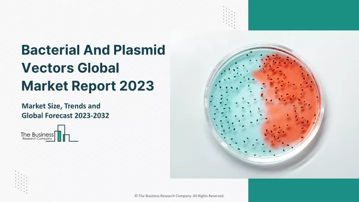 bacterial and plasmid vectors global market