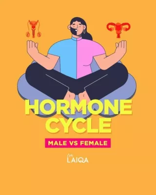 Hormone Cycle - Men vs Women