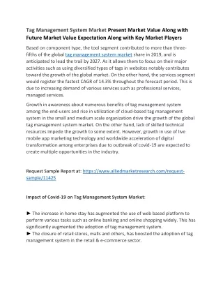 tag management system market present market value