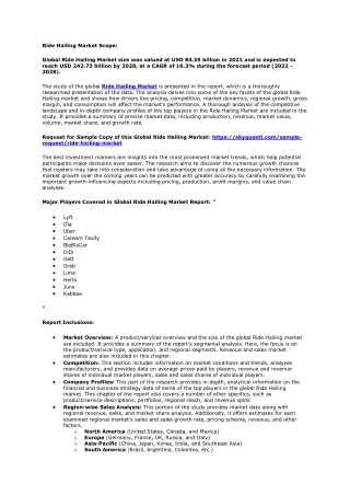 ride hailing market scope