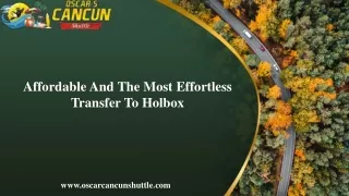 Affordable And The Most Effortless Transfer To Holbox
