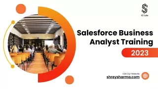 Salesforce Business Analyst Training in 2023 By S2 Labs