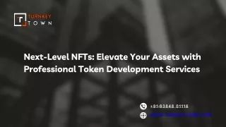 Next-Level NFTs Elevate Your Assets with Professional Token Development Services