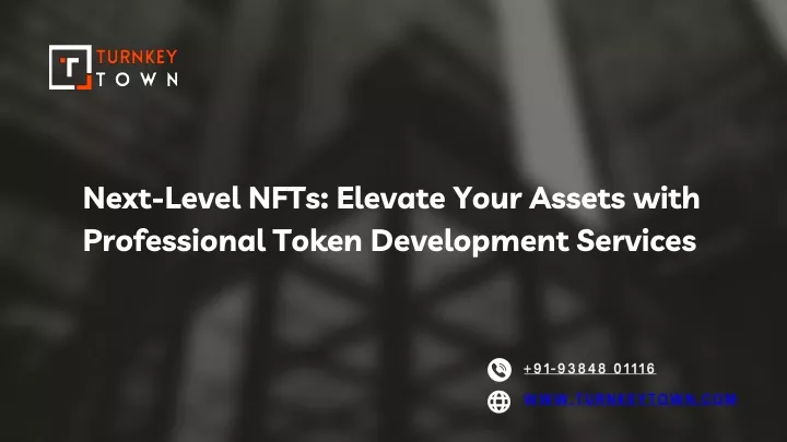 next level nfts elevate your assets with