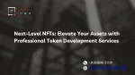 Next-Level NFTs Elevate Your Assets with Professional Token Development Services - slide 1