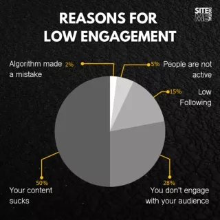3-REASONS  FOR LOW ENGAGEMENT (2)