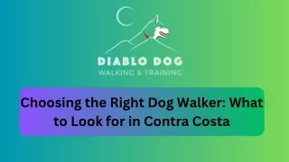 Choosing the Right Dog Walker What to Look for in Contra Costa