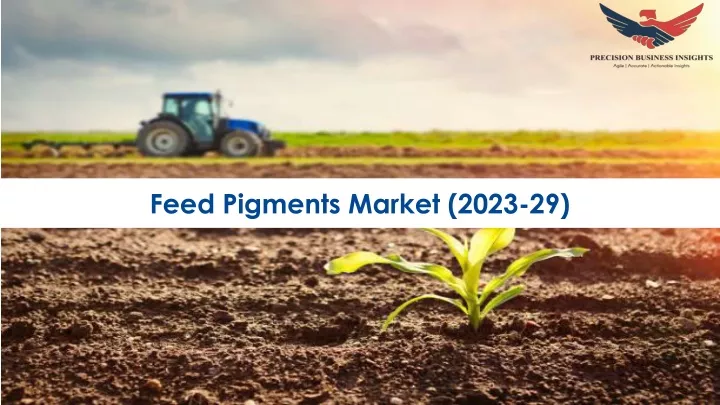 feed pigments market 2023 29