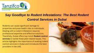 Say Goodbye to Rodent Infestations The Best Rodent Control Services in Dubai