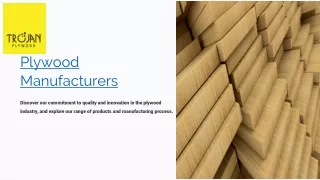 Plywood-Manufacturers