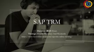 SAP TRM Online Training Course Content PDF