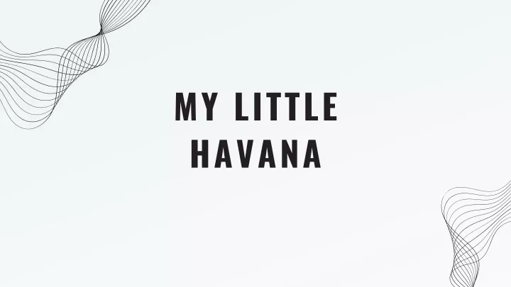 my little havana