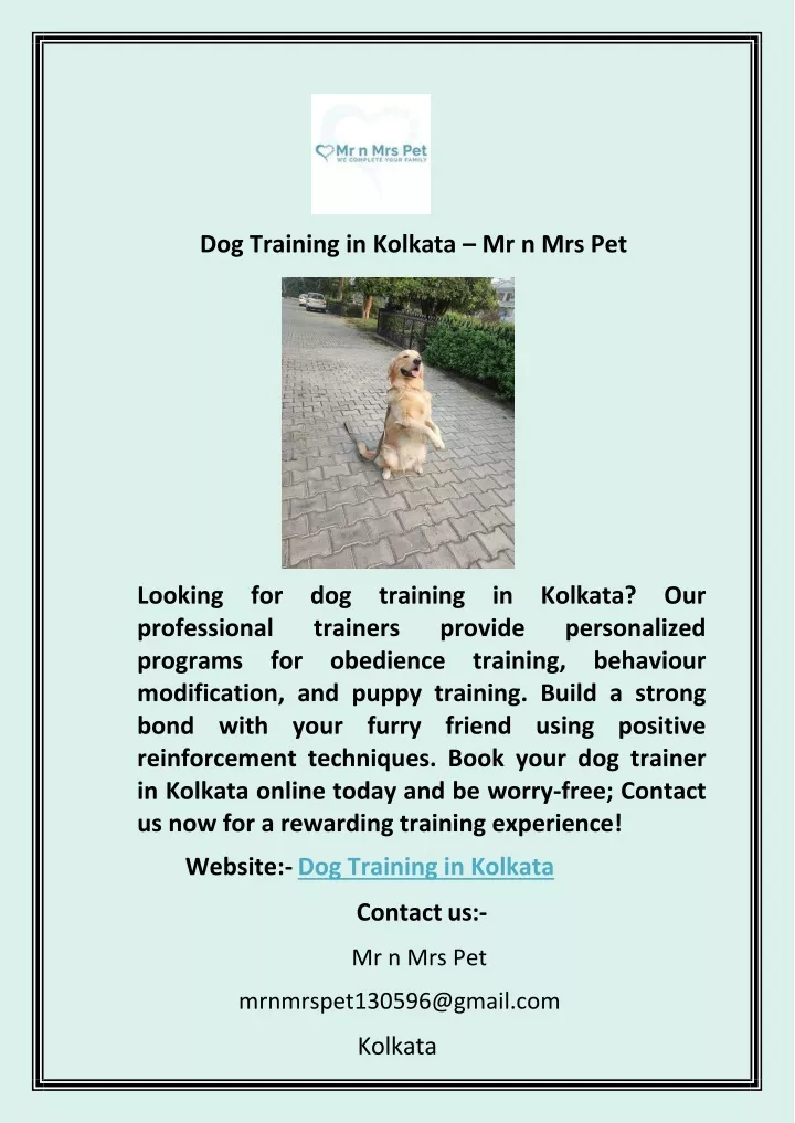 dog training in kolkata mr n mrs pet