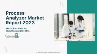 process analyzer market report 2023