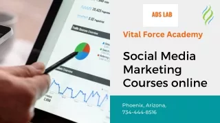 Social media marketing Courses