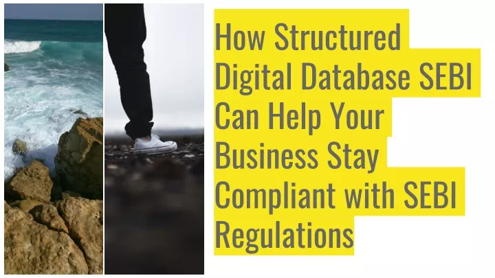 how structured digital database sebi can help your business stay compliant with sebi regulations