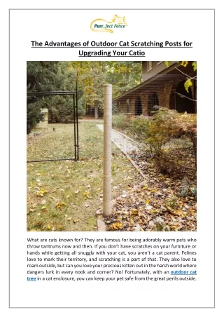 The Advantages of Outdoor Cat Scratching Posts for Upgrading Your Catio