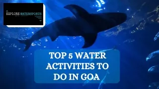 Top 5 water activities to do in Goa  Fun adventuresoddler