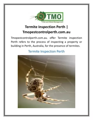 Termite Inspection Perth  Tmopestcontrolperth.com.au