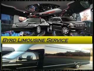 byrd limousine service