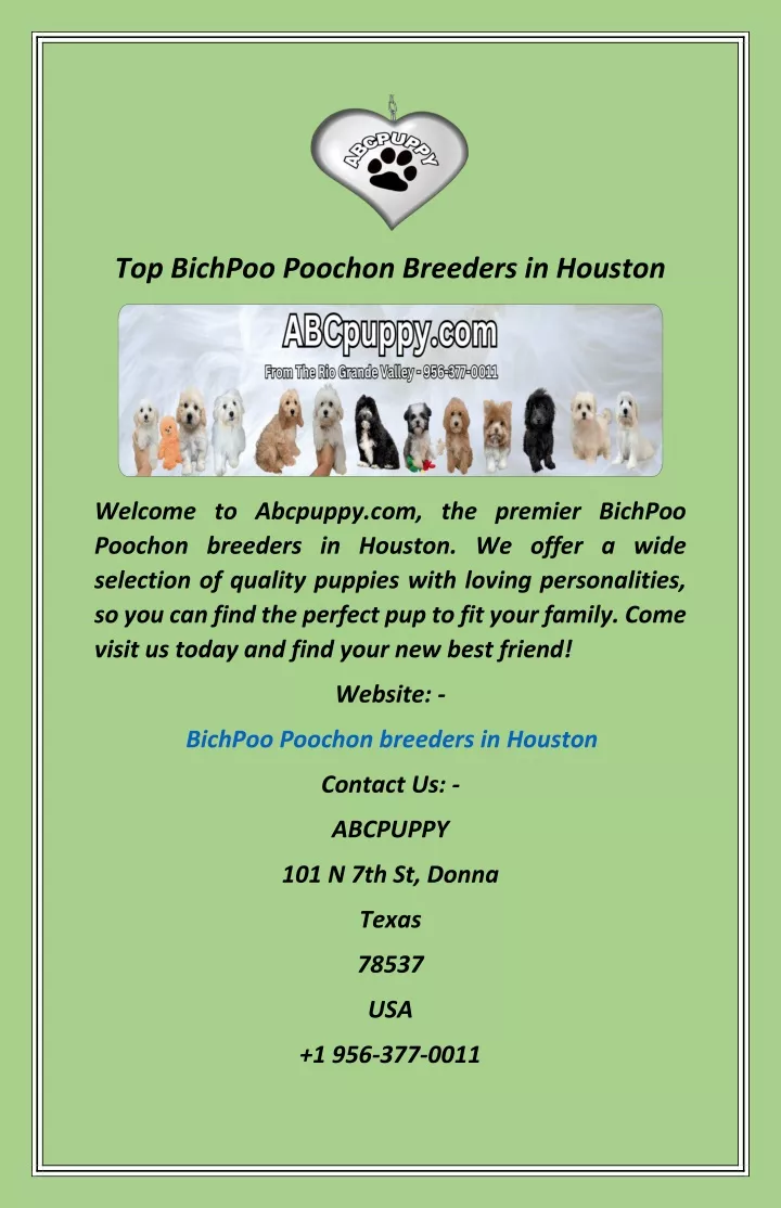 top bichpoo poochon breeders in houston