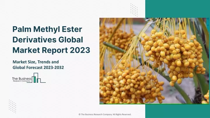 palm methyl ester derivatives global market