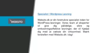 Specialist i WordPress-løsninger Websito.dk..