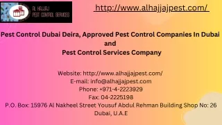 Reliable Pest Control Services Company Dubai's Premier Pest Management Solutions