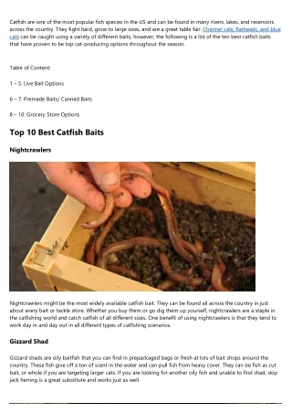 Everything You've Ever Wanted to Know About Best Catfish Baits