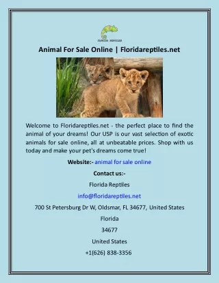 Animal For Sale Online  Floridareptiles.net