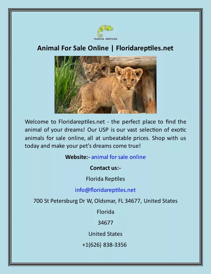 animal for sale online floridareptiles net