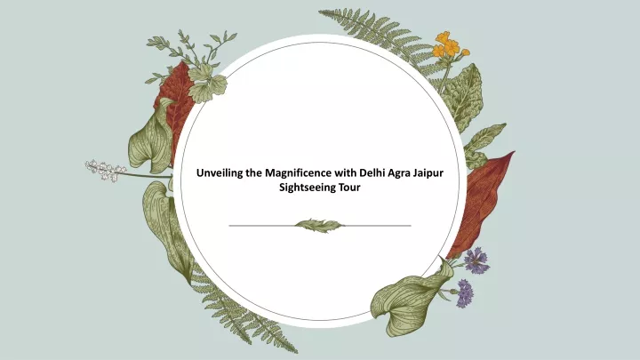 unveiling the magnificence with delhi agra jaipur