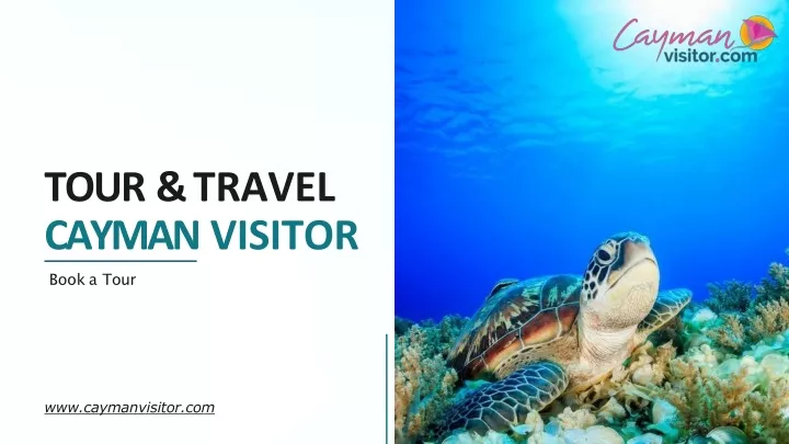tour travel cayman visitor