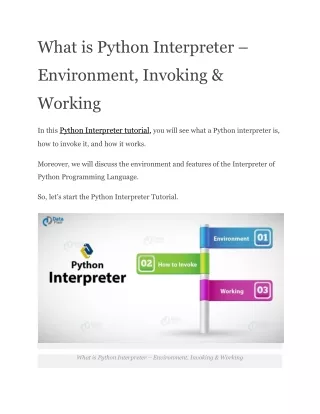 what is python interpreter